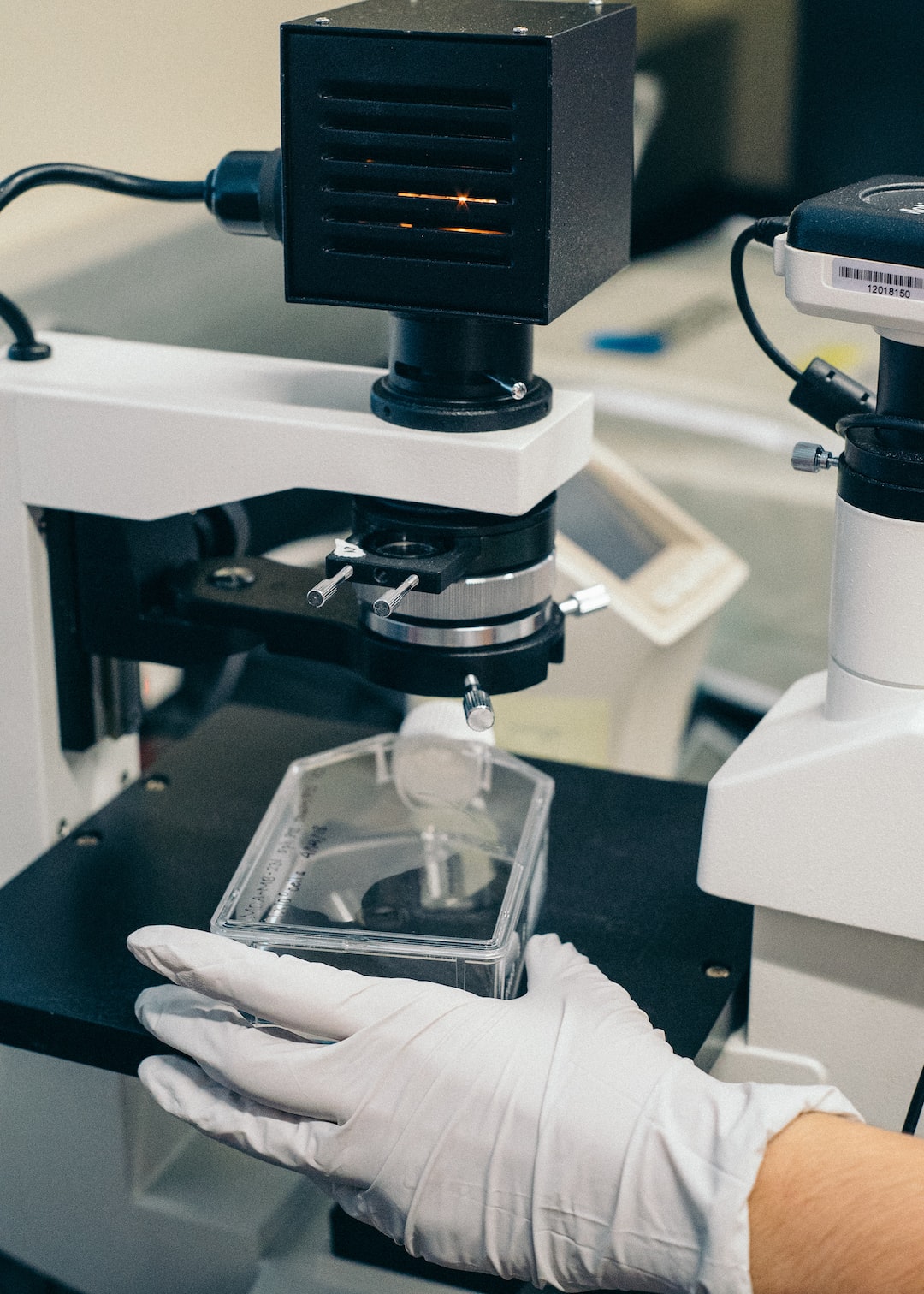 Monica Peek elected to National Academy of Medicine – UChicago News
