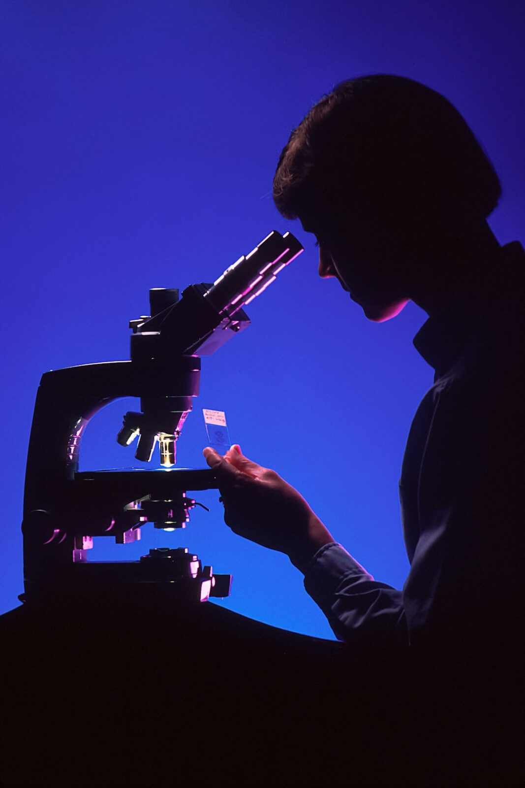 Weill Cornell Medicine Receives Grant to Study Effects of Radiation on Immunity – Weill Cornell Medicine Newsroom