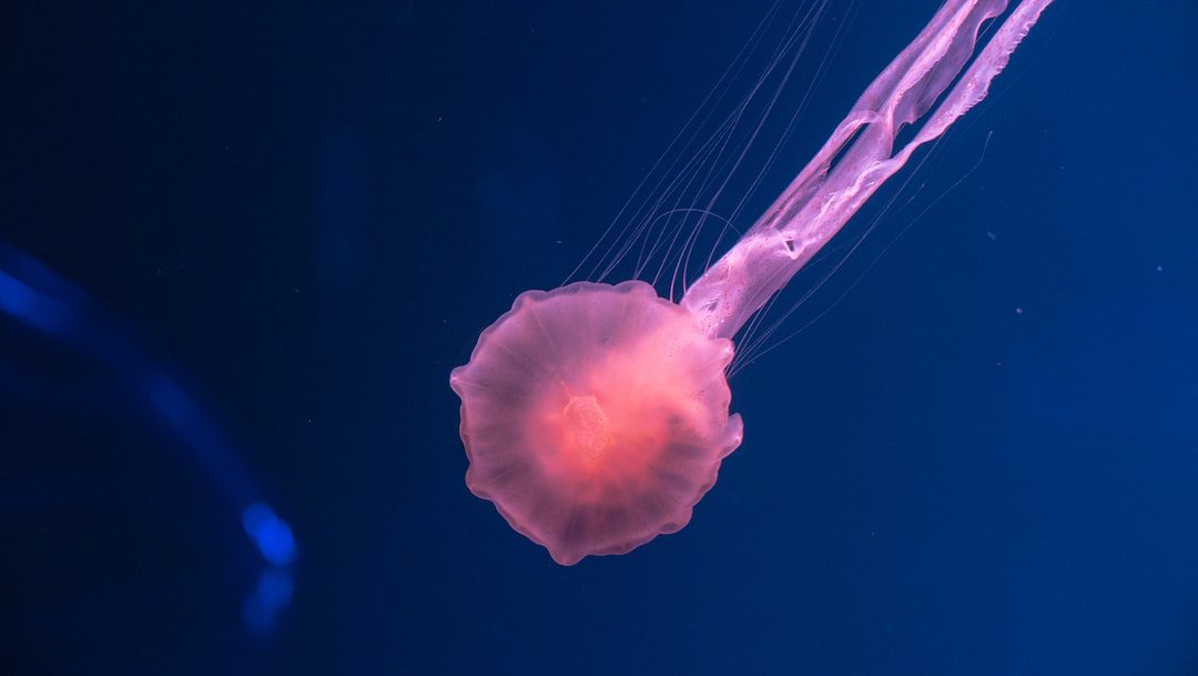 Naukowcy wymyślili asteroidę, która może zabić miliardy. Teraz zastanawiają się, jak nas ocalić przed katastrofą – Komputer Świat