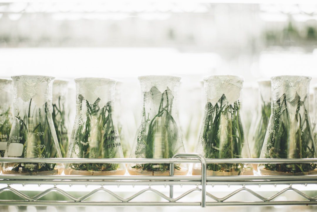 Medicare Announces 10 Drugs Targeted for Price Cuts in 2026 – Medscape