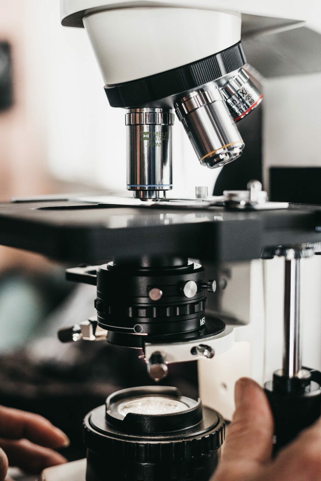 Chronobiologist and Nobel Laureate in Medicine Michael Rosbash: ‘Lack of sunlight during the day is worse than electric lighting at night’ – EL PAÍS USA