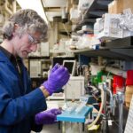 Old immune systems revitalized in Stanford Medicine mouse study, improving vaccine response – Stanford Medical Center Report